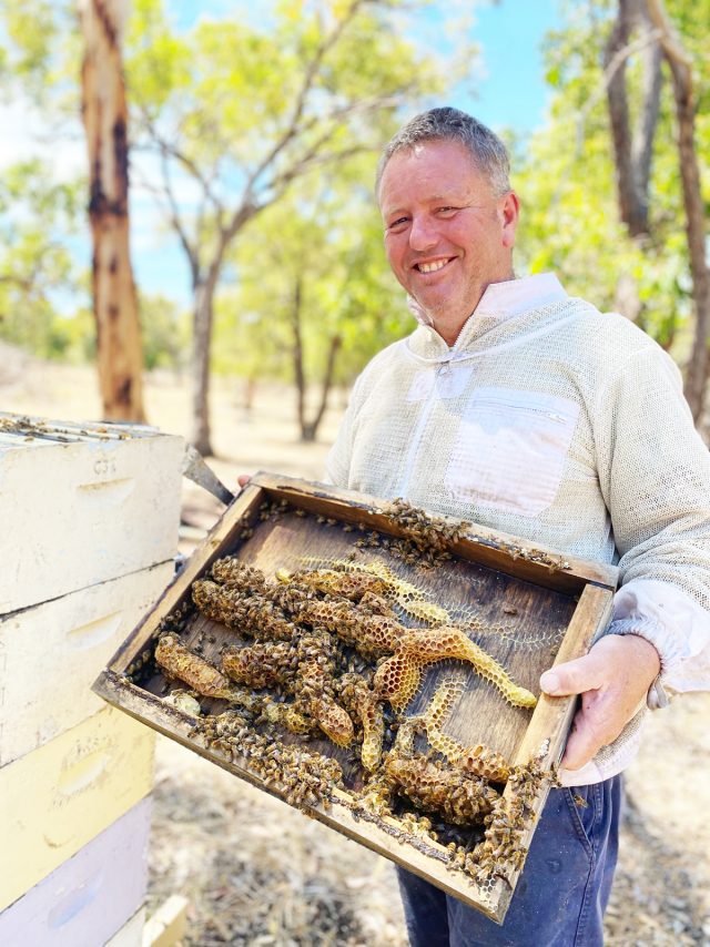 Smiling man in protective bee keeping attire holding a tray from a bee hive. The tray is covered in honeycomb and bees.