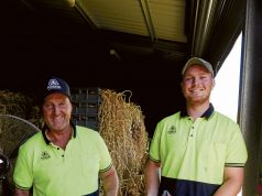 Smiling father and adult son in front of a large crate full of farm fresh garlic